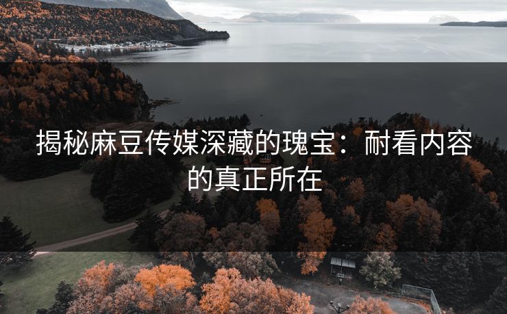揭秘麻豆传媒深藏的瑰宝:耐看内容的真正所在