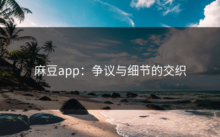 麻豆app：争议与细节的交织